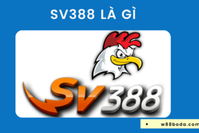 SV388 Là Gì? Kinh Nghiệm Chơi Đá Gà SV388 “Cực Đỉnh”