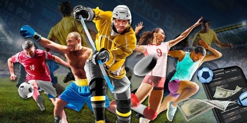 Những đối tác đang kết hợp cùng website trong năm 2025